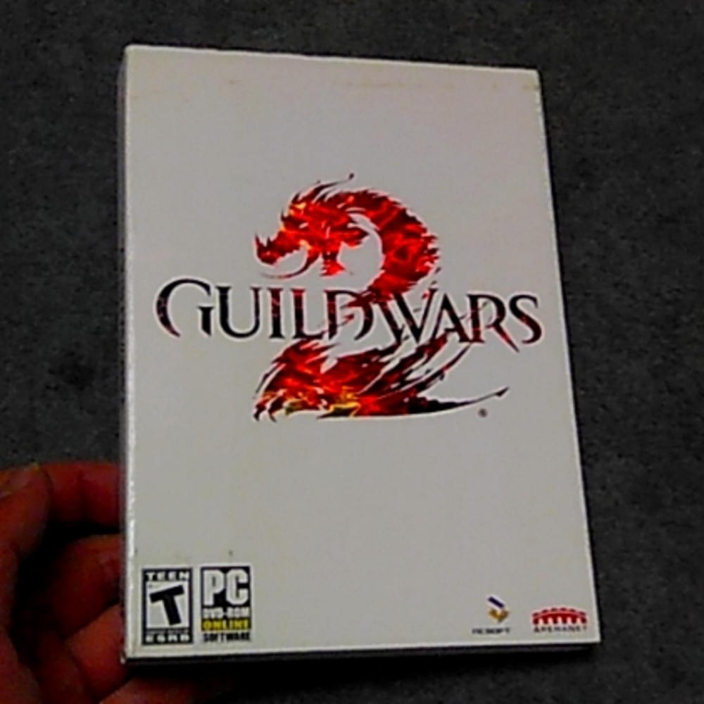 Guild Wars 2 PC game